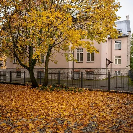 Brand New Studio In City Center Таллин